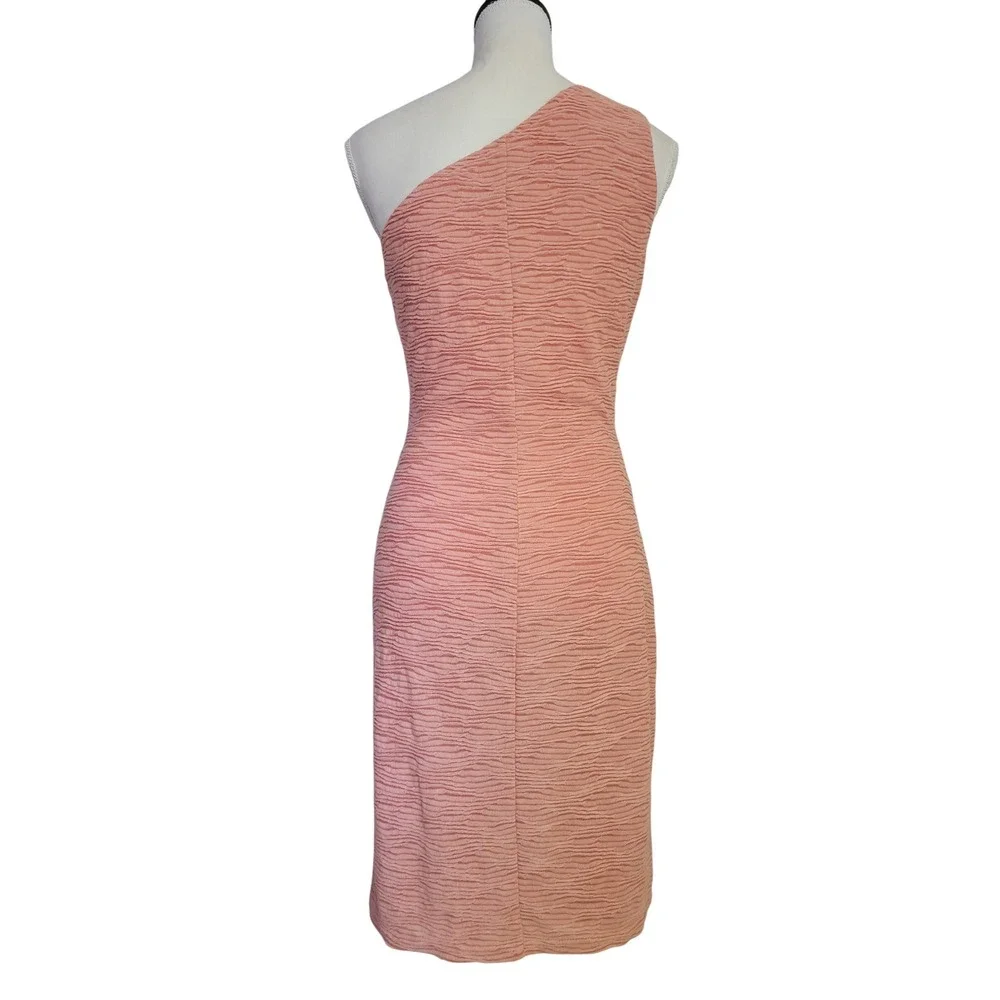 Walter Baker Matching Set Pink Textured Knit One Shoulder Dress Cardigan Medium